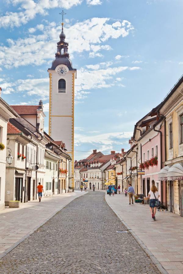Pocitniska Hiska Pod Skalco Vila Kamnik Exterior foto